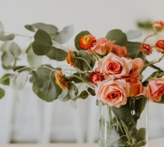 image of best roses indoors for apartment