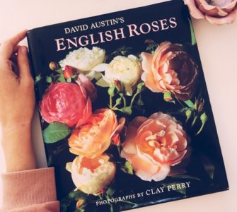 Image of David Austin's English Roses Book Review