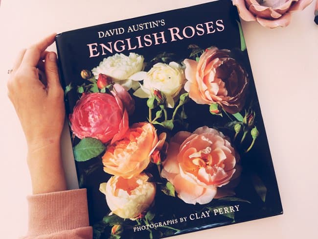 Image of David Austin's English Roses Book Review