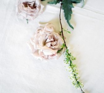 image of a rose how to grow a rose from your wedding bouquet