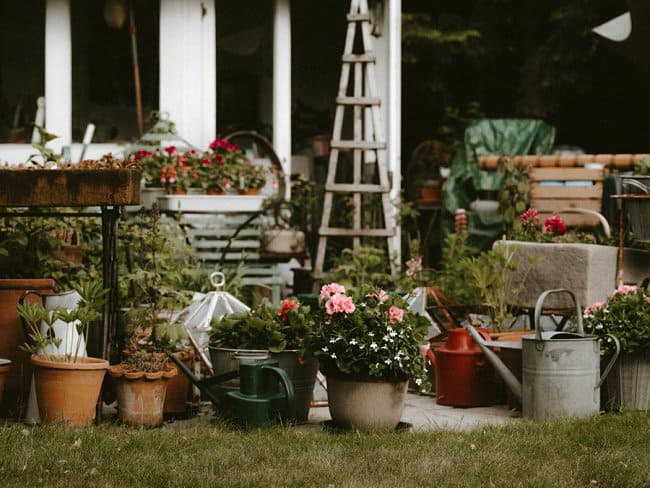 image of what type of watering can to water rose