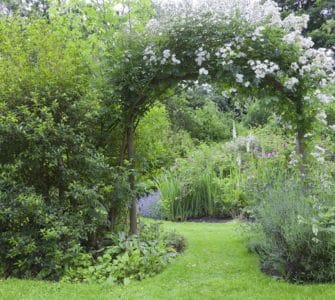 image of rose arch in a garden