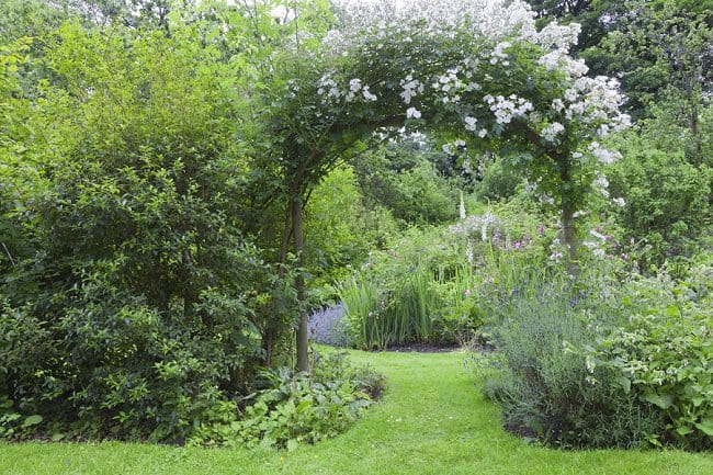 image of English cottage garden with white rose arch entrance best rose arches