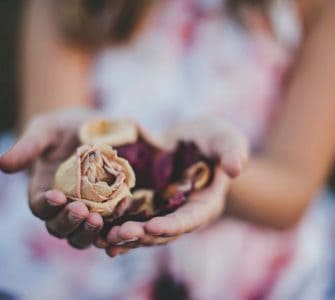 image of girl holding roses to show how to grow rose petals from seed