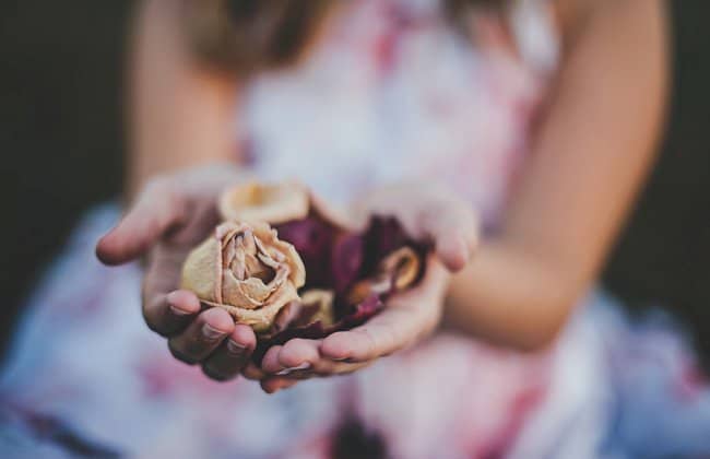 image of girl holding roses to show how to grow rose petals from seed