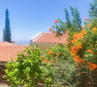 image of Mediterranean garden bougainvillea