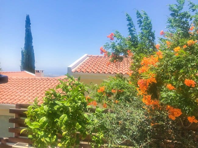 image of Mediterranean garden bougainvillea