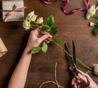image of how to grow a rose from a cutting without rooting hormone