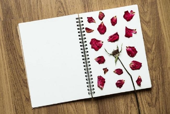 image of naturally drying rose petals 