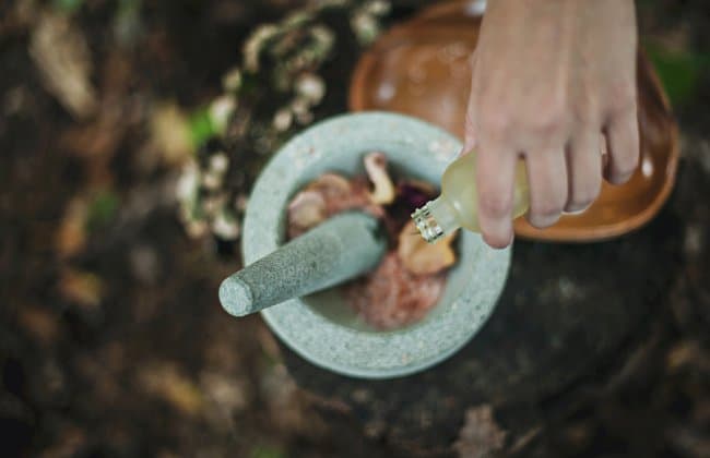 image of using aspirin to help roses grow