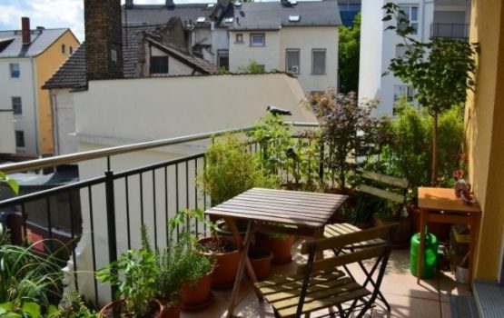 How To Grow A Balcony Rose Garden! Create A Magical Outdoor Space.