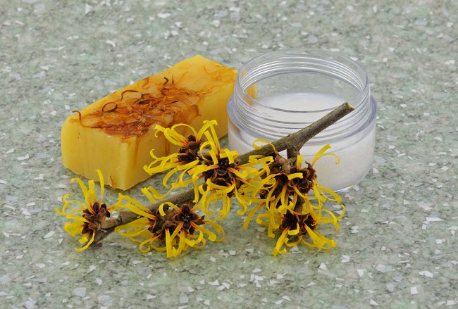 image of what to do with witch hazel