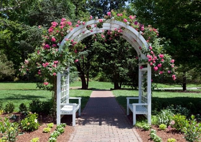 image of rose arbor arch trellis