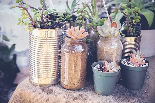 image of mason jar planters 