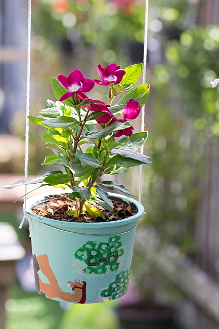 image of a bucket used as a planter sand pail planter