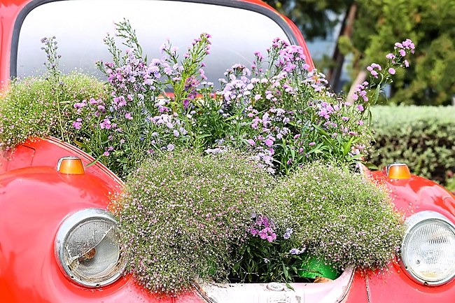 image of car plant holder 