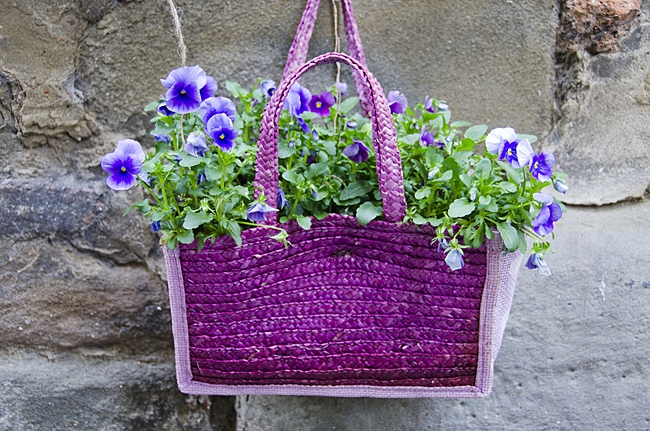 image of household item used as planter, a purple bag planter 