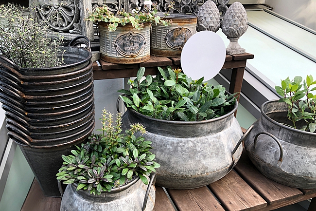 image of iron pans reused as planters