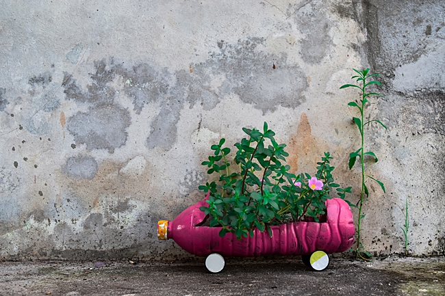 image of plastic bottles recycled to use as household planters