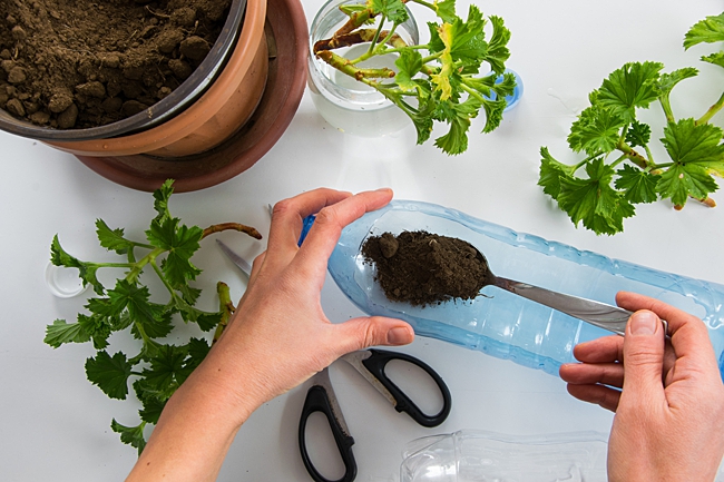 image of how to use a plastic bottle as a planter in your garden 