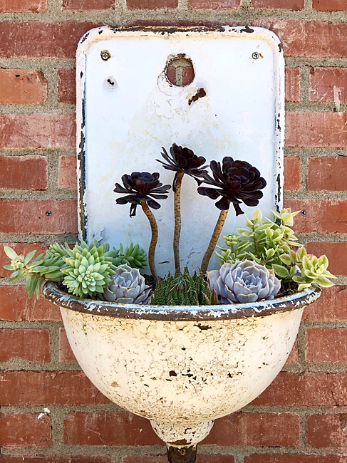 image of vintage sink household item repurposed as planter 