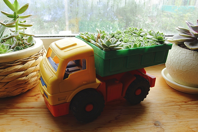 image of toy planter household items to use as planters 