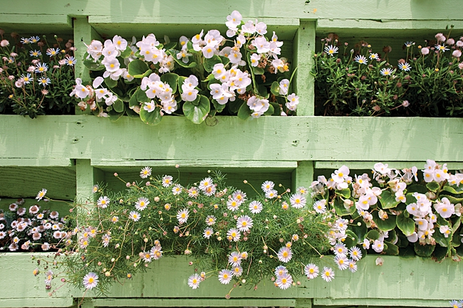 image of mint green pallet planter diY upcycled from household item 