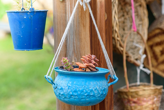 image of dish planter using kitchenware as a planter 