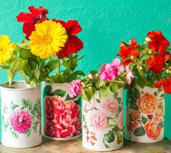 image of the best household items to use as planters, budget friendly and creative