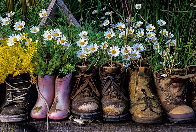 image of vintage boots household items used as planters 