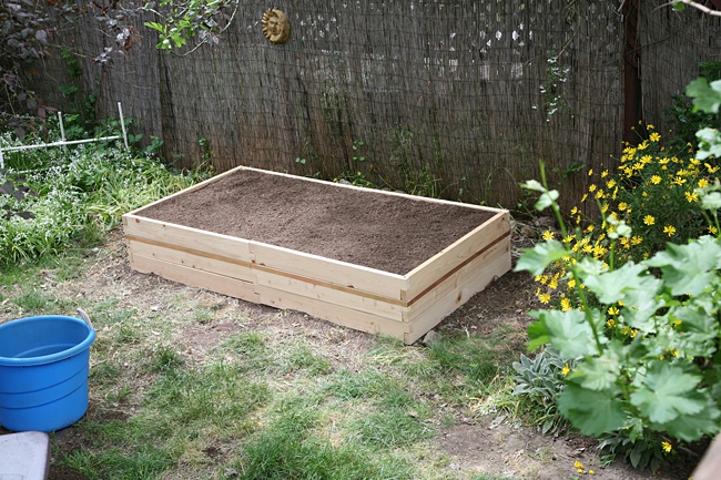 image of simple raised rose bed