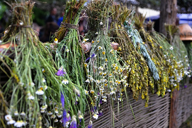 image of dried hanging herbs for patio space