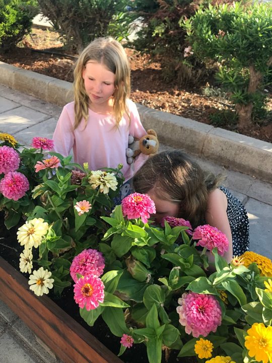 image of kid friendly concrete patio