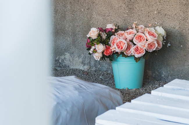 image of potted roses in the shade