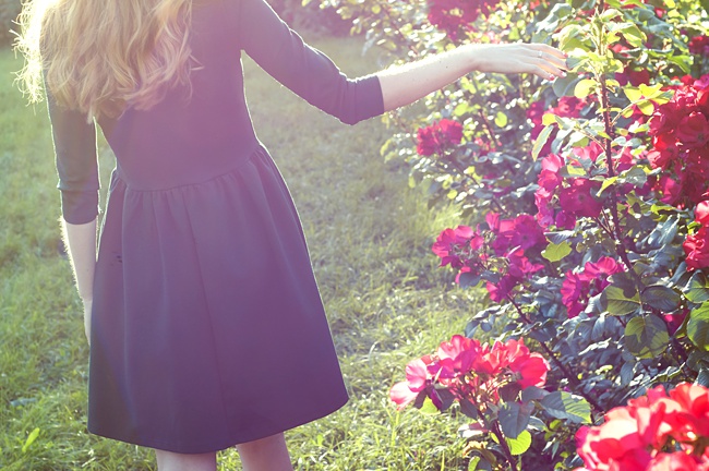 image of woman in rose garden how to plant design and grow a small rose garden