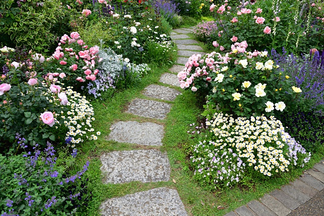 image of plan of a pathway in a small rose garden 