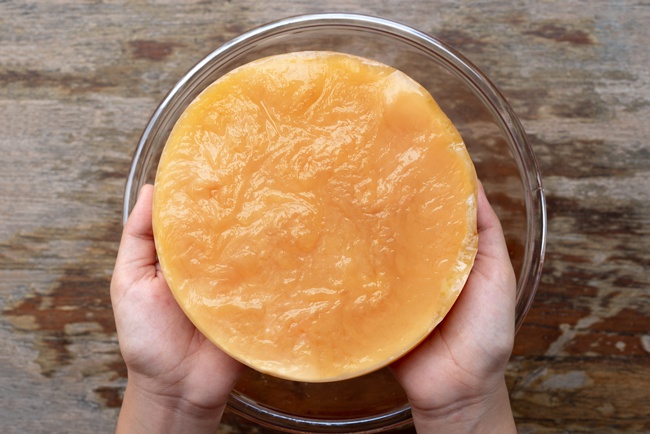 image of kombucha scoby