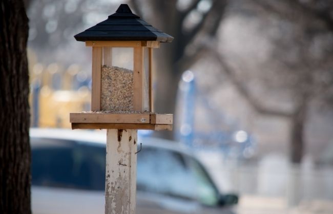 diy birdfeeder kids winter garden tutorial