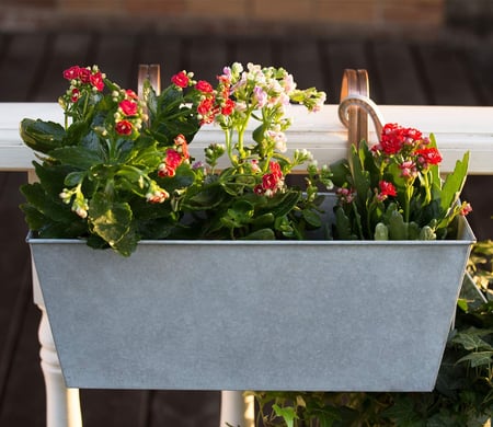 hanging planter flower pot