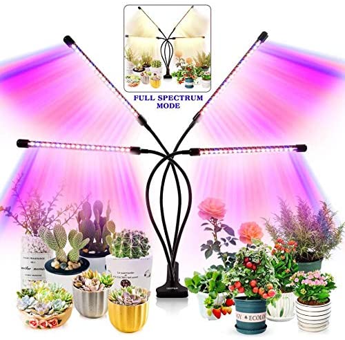 grow light for indoor plants