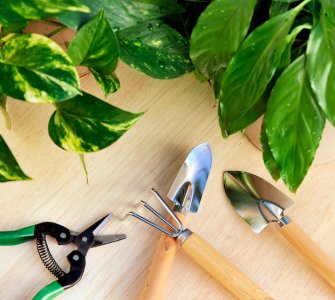 indoor garden tools