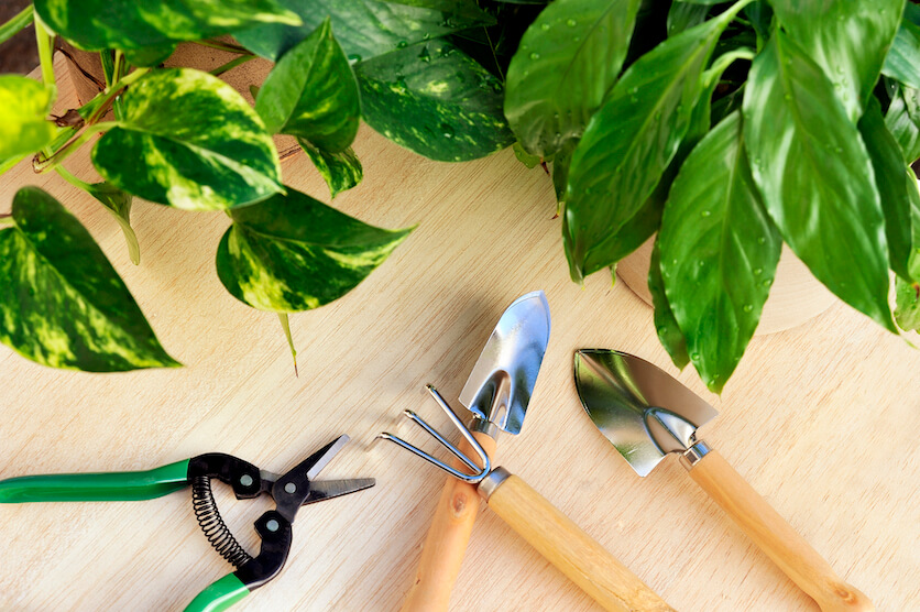 indoor garden tools