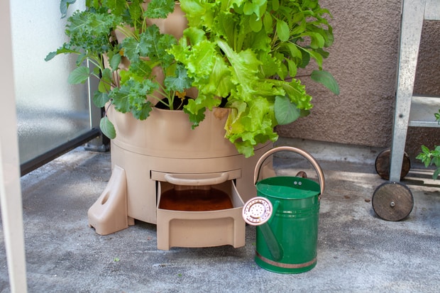 stackable planter with a drainage tray