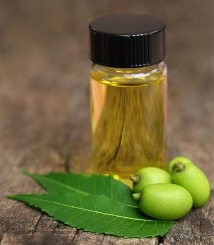 clarified Neem oil