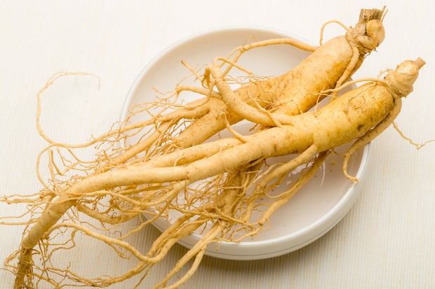 ginseng resemblance with the human body