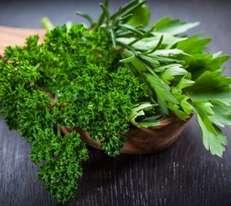 how to grow parsley indoors