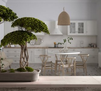 japanese small indoor trees