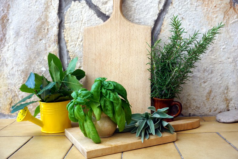 mosquito repellent indoor plants