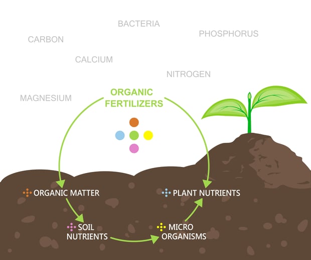 organic fertilizers