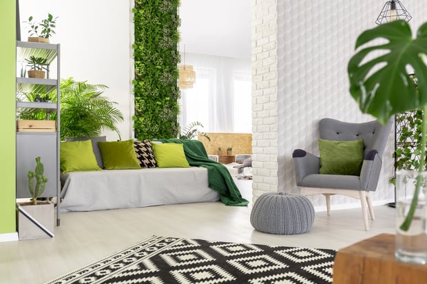 green interior with indoor plants